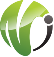 Visble Intellect Logo